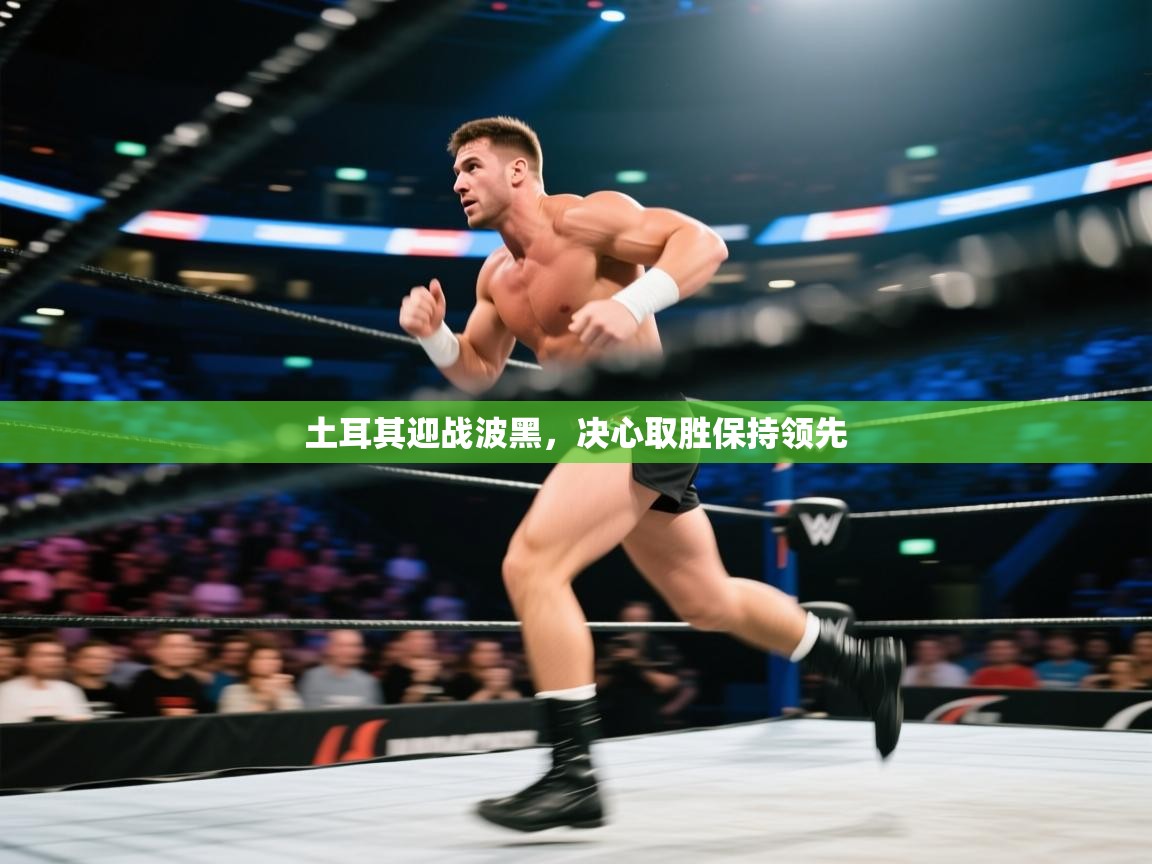 土耳其迎战波黑，决心取胜保持领先  第2张