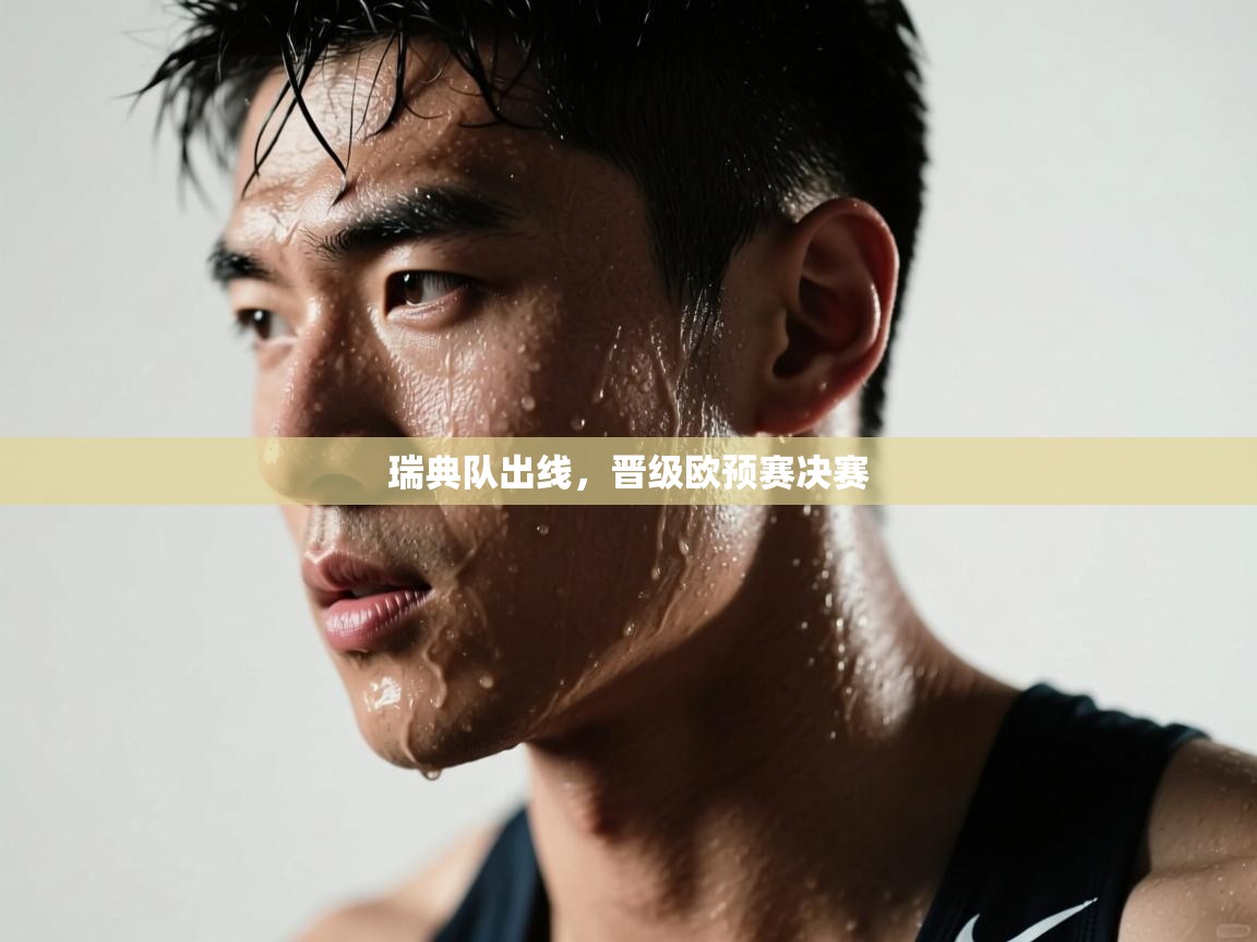 瑞典队出线，晋级欧预赛决赛  第1张