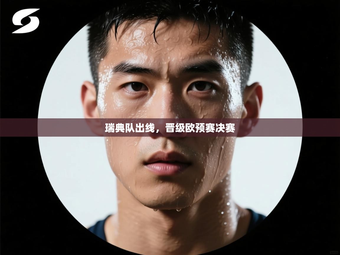 瑞典队出线，晋级欧预赛决赛  第2张